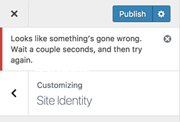 Error WordPress Customize