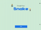 Play Snake Game on Google Maps