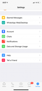 iPhone WhatsApp Chats Settings