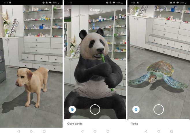 Google 3D Augment Reality Panda Dog Turtle