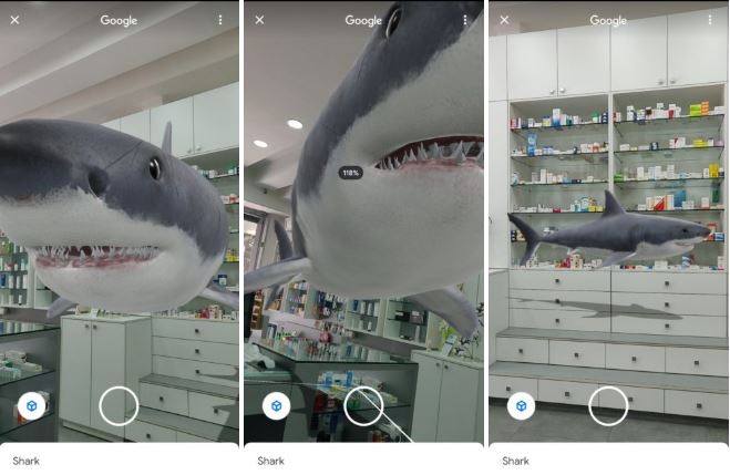 Google Search Shark 3D AR