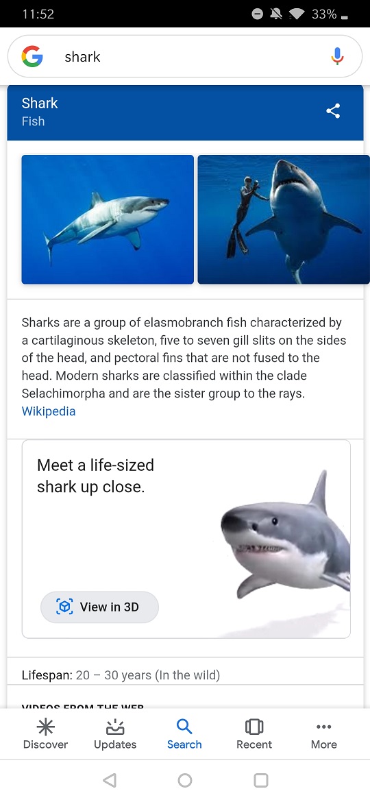 google search shark 3d AR