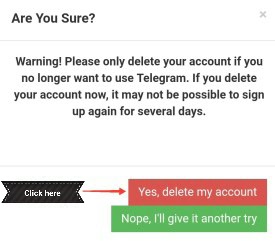 Delete Telegram Account Warning