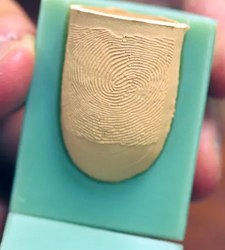 Mold Fingerprint
