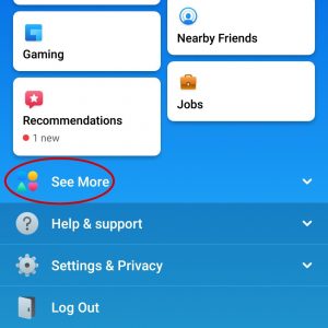 Facebook See More Option