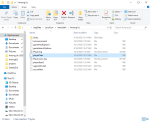 Blank Among Us Name playerPrefs