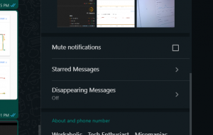 Disappearing Messages Option on WhatsApp