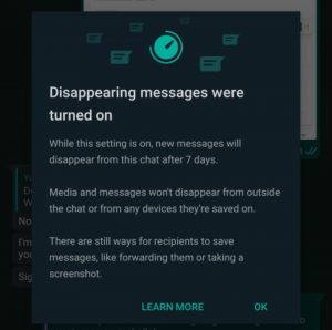 WhatsApp Disappearing Messages Notification